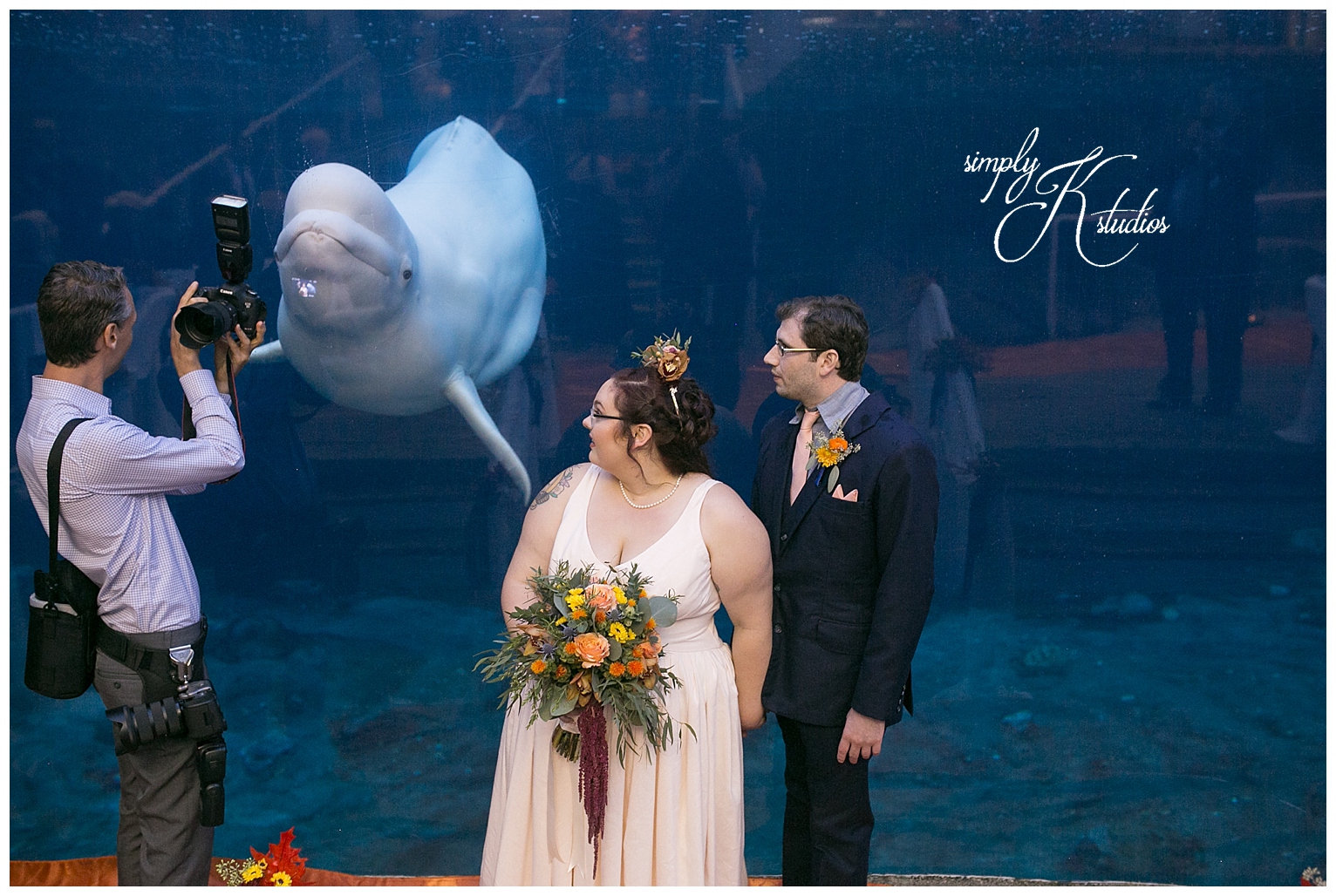 Wedding Photographers at Mystic Aquarium.jpg
