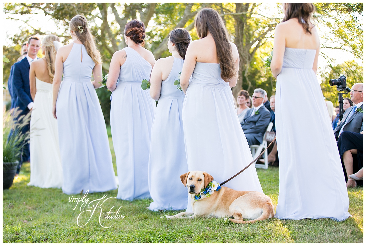 Labs with bridesmaids.jpg