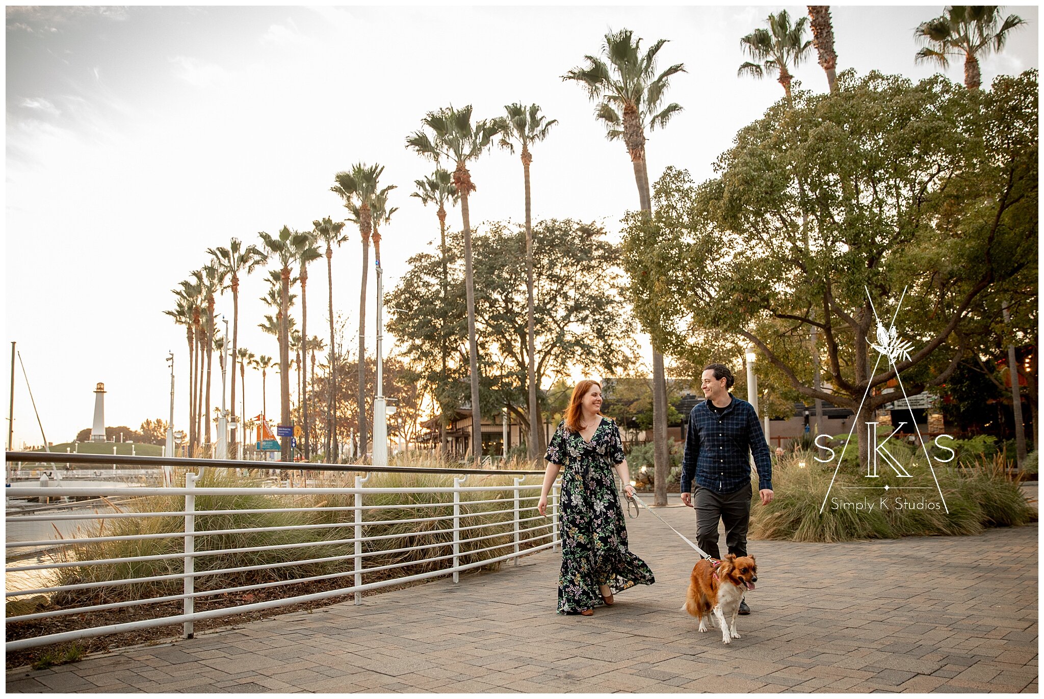  A man and woman walking their dog in front of palm trees 